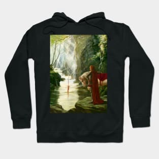 Excalibur Hoodie